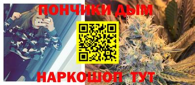 сатива Заводоуковск
