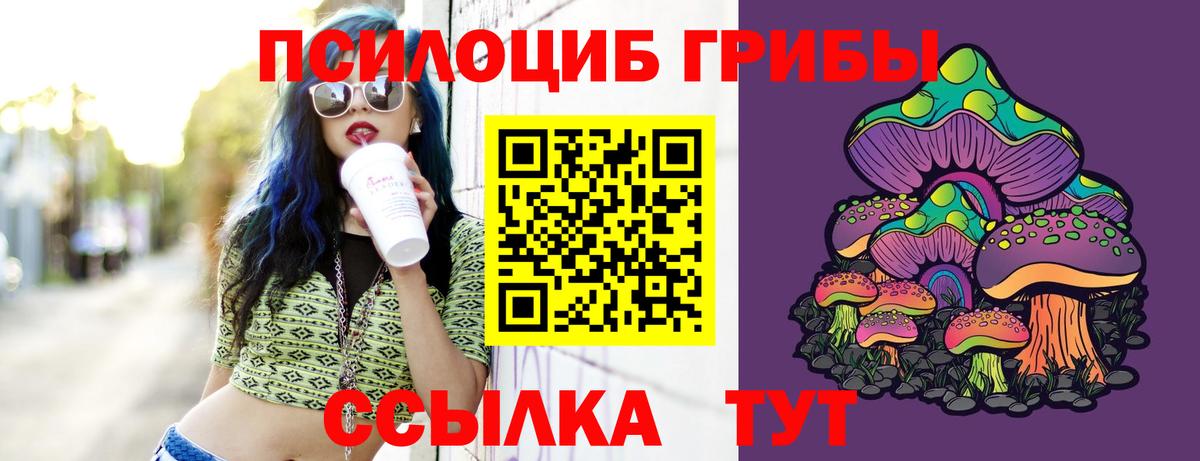 Псилоцибиновые грибы GOLDEN TEACHER Ленинск-Кузнецкий