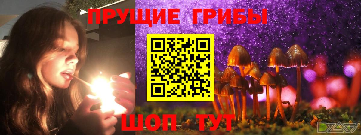 Ленинск-Кузнецкий  Псилоцибиновые грибы Psilocybine cubensis  Вход с VPN  Псилоцибиновые грибы Magic Shrooms 